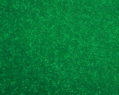 Green Sparkle Metallic Swatch
